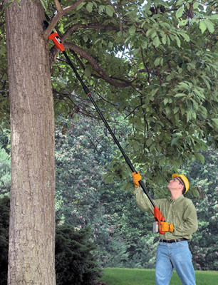 Pole Saw Safety Equipment